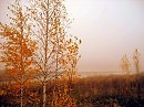 серия Уральская осень
