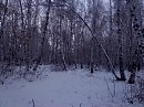 Первый снег