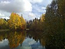Золотая осень