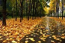 СТРАННИКИ.