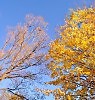 Расставанье - маленькая смерть