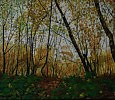 Пора шуршащих листьев