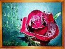 " Роза" 30х40