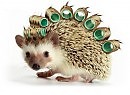 СОВА, ЛИСА И ЁЖ