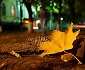 ПЕВИЦА - ОСЕНЬ...