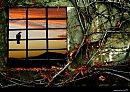 Встрепенулась душа на рассвете