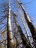 Добрая осень колдует