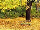 Разбитое сердце