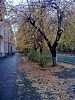 Как всегда
