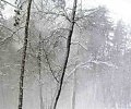 Зимнее