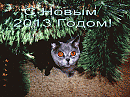 Наши меньшие - Лира