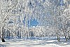 Чудесно, ах как звонко