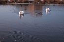 ...вдвоем на всю жизнь!!!