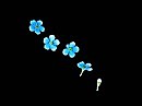 Линия Myosotis Cinq Machins