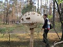 гриб