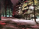 По ночным дорожкам (1)