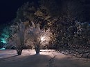 По ночным дорожкам (3)