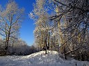 зима..декабрь..12г