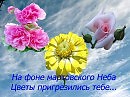 На фоне мартовского неба, цветы пригрезились тебе...