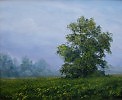 Утренний туман,35-45,х.м.,2008