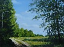 Дорога из леса,х.м.,48х61,2011