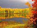 Скучала осень в камышах