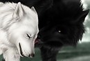 Любовь одинокой волчицы...