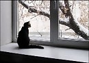 Уже весна не за горами...