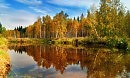 ВТОРАЯ РОДИНА