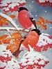 Зимний этюд