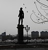 На берегу Амура