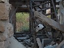 LIFE IN RUINS