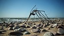 ~ жизнь насекомых ~