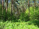 Попытка