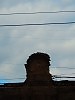 К ТЕМЕ ЭСТЕТИКИ ЕЖЕЙ\СКОРО ВСЁ БУДЕТ ФОТО-АНТИЧНОСТЬЮ