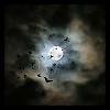 FullMoon