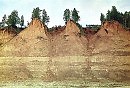 Удивительные Сухонские берега