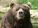 ПАРОДИЯ: Мой успех остался за стеною..