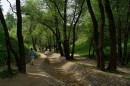 В парке.
