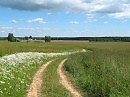 Д-орога вьётся лентой вдаль