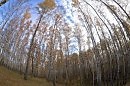 Написанное слово - счастье