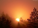 А-брикосовый отблеск зари