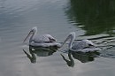 Сладкая парочка. Дубль 3