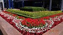 Ставропольские клумбы