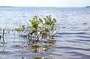 Водохранилище Вышнего Волочка