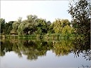 Сельский пруд в полдень
