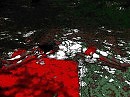 _____Помечтаем?_____