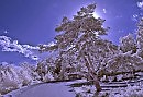 Танцующая в солнечных лучах