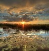 Вечернее солнце
