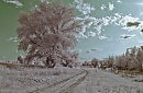 Ахтубинская пойма...